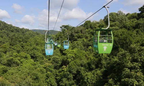 Wild Elephant Valley Ropeway