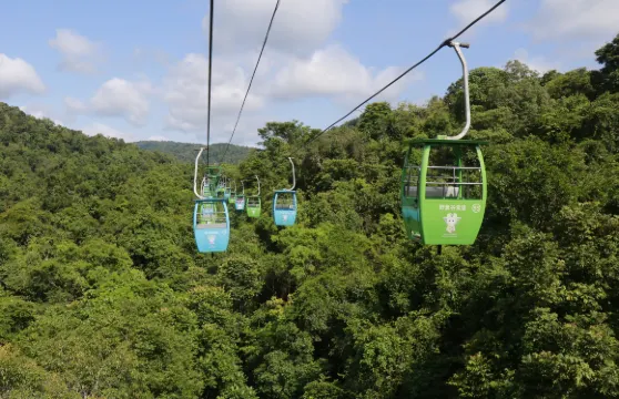 野象谷門票 + 單程纜車票成人