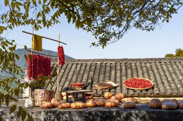 Wuyuan Autumn Sun-drying Harvest