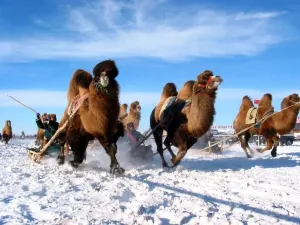 ヤブリ（ハルビン）国際スキー場