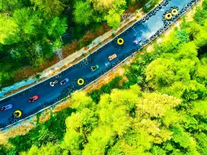 Moganshan Skyline Forest Valley