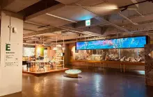 霧峯菇類產學館