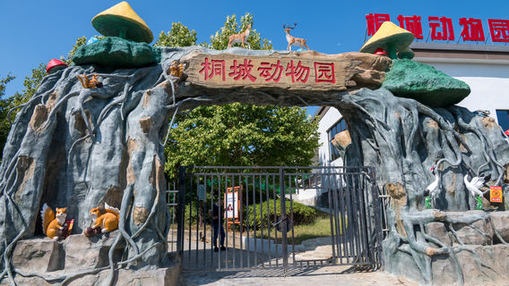 Tongcheng