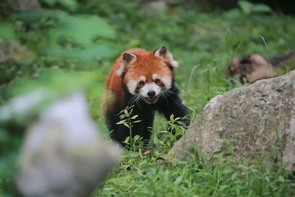5_Shanghai Zoo