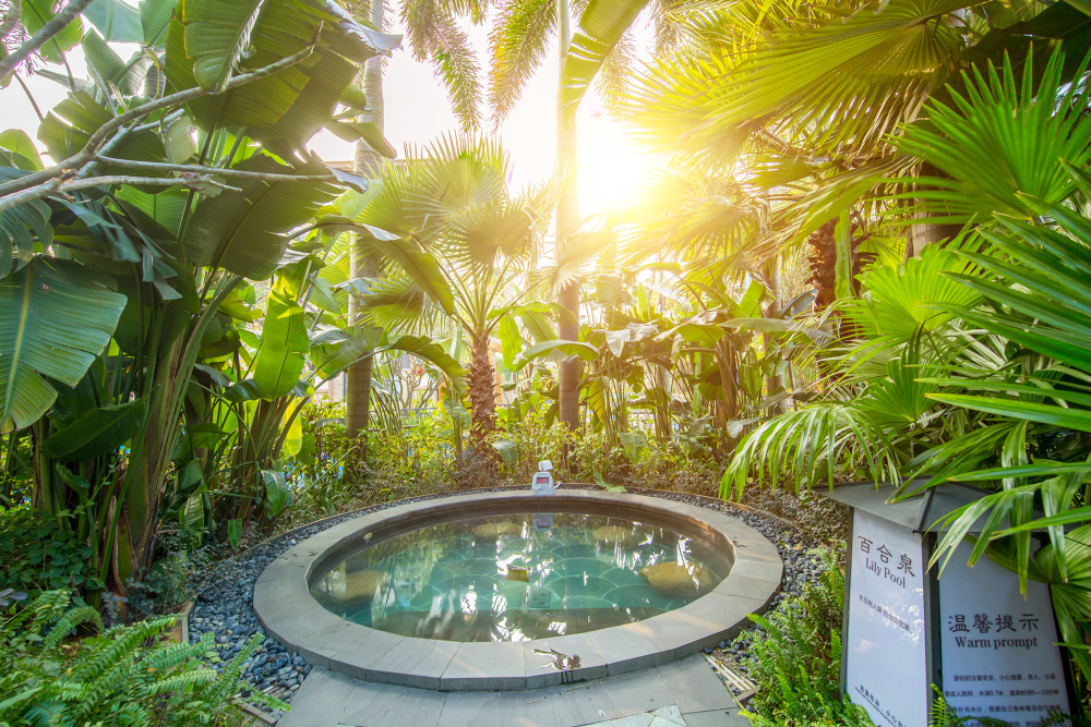 กิจกรรมยอดนิยมในชิงหยวน