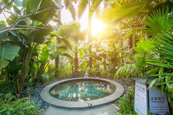 Hot Springs in Qingyuan