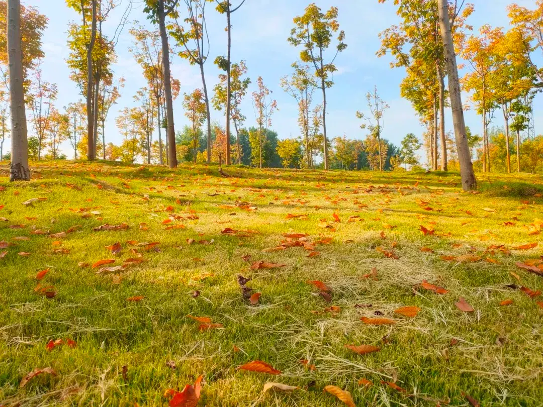 4_The Yellow River Scenic Area of Zhengzhou