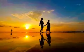 스카이미러 맹그로브