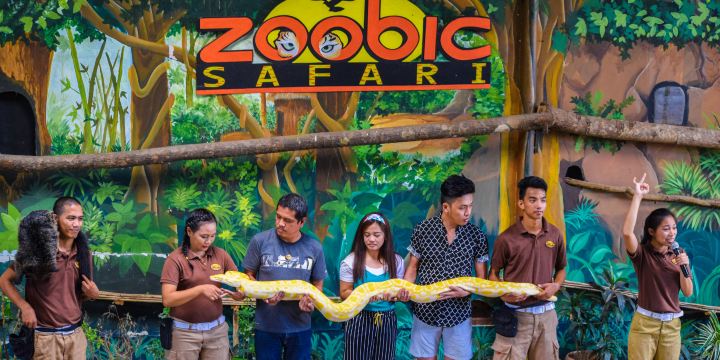 Zoobic Safari