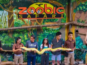 Zoobic Safari