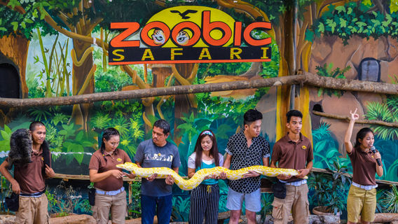 Zoobic Safari