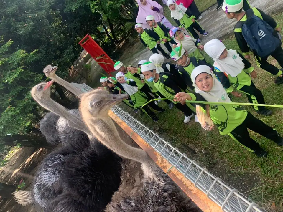 5_P.D. Ostrich Show Farm
