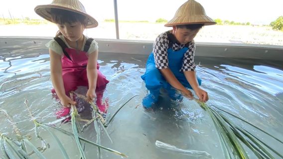 Chumi Experience Farm