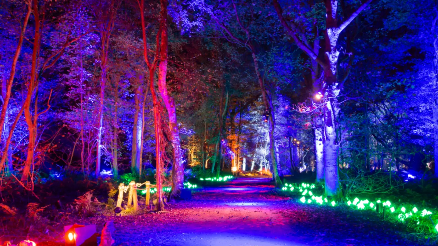 3_[Shenzhen] Harry Potter: A Forbidden Forest Experience