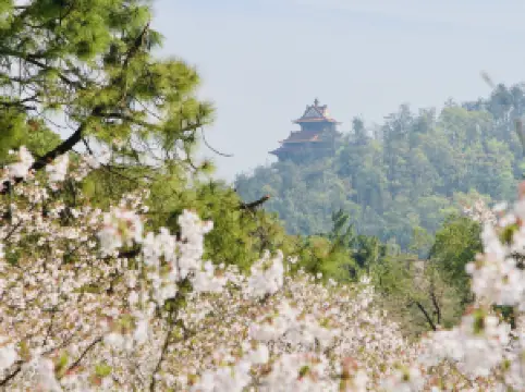 Top 20 Spring Outings in Wuhan
