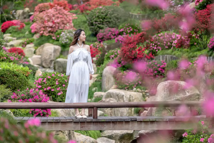 상저산 판타지 골짜기