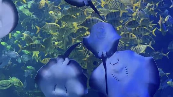 Binzhou Underwater World