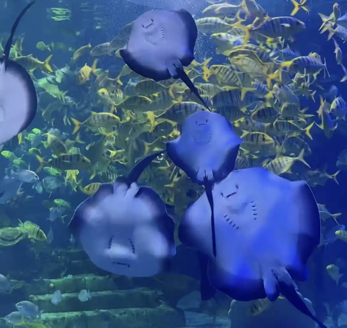Hotels near Binzhou Underwater World