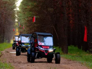 홍화얼지 장자송 국가삼림공원