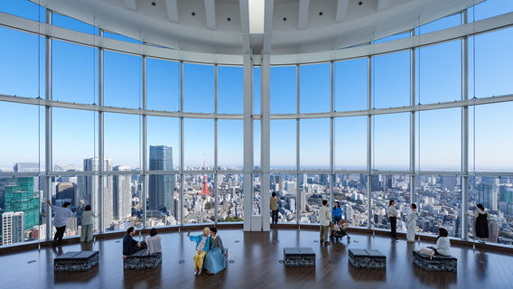 Tokyo City View