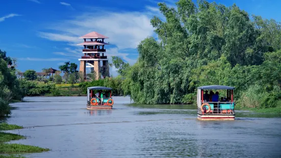 Nansha Wetland