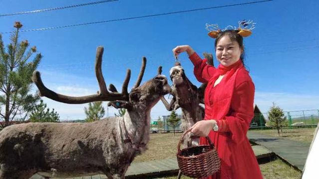 White Deer Flower Garden