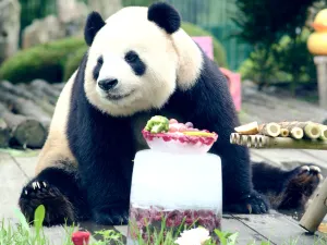 Dalian Forest Zoo