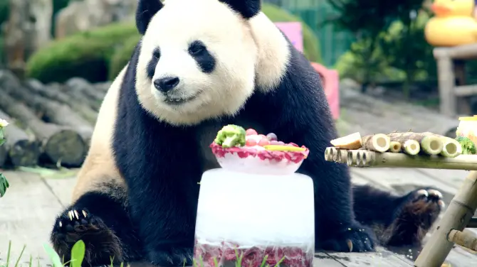 2_大連森林動物園