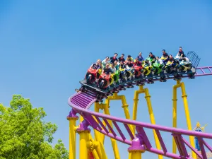 Changsha COLORFUL WORLD