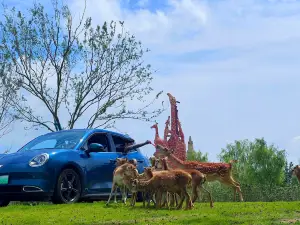 su qian sen di ye sheng dong wu shi jie