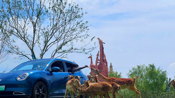 su qian sen di ye sheng dong wu shi jie