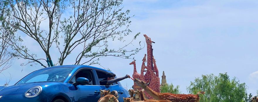 su qian sen di ye sheng dong wu shi jie