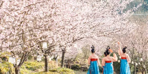 明月山花海原居