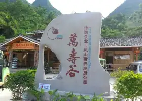 Longevity Valley