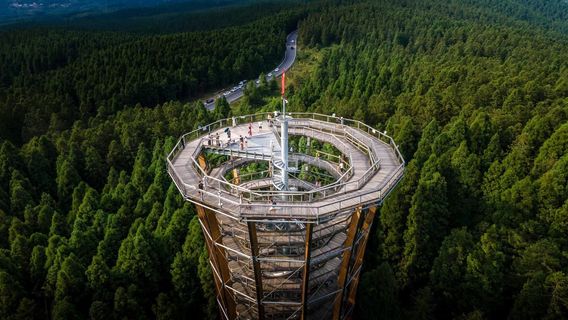 Fairy Mountain Treetop Walk