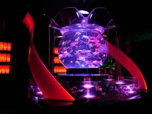ART AQUARIUM MUSEUM