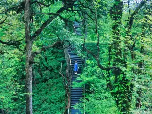 Longcanggou National Forest Park