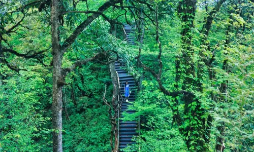 Longcanggou National Forest Park