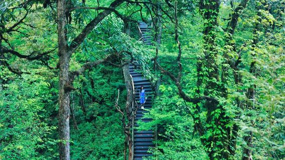 Longcanggou National Forest Park