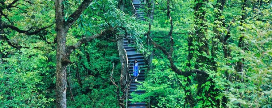 Longcanggou National Forest Park