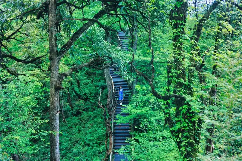 Hotels near Longcanggou National Forest Park