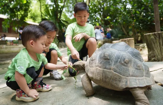 城堡農場門票成人(馬來西亞籍遊客)