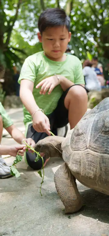 Hotels near Farm In The City