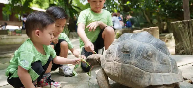 Hotels in Seri Kembangan