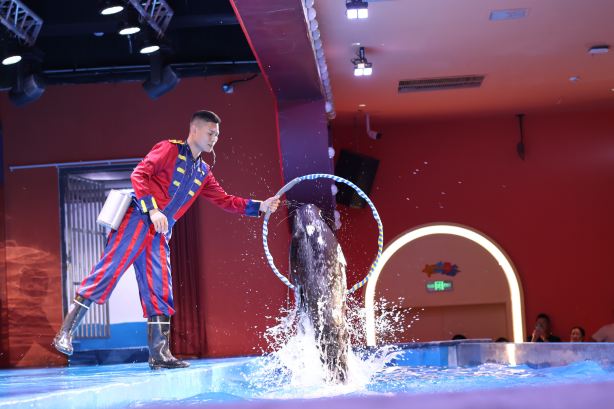 Xiangyang Ocean World