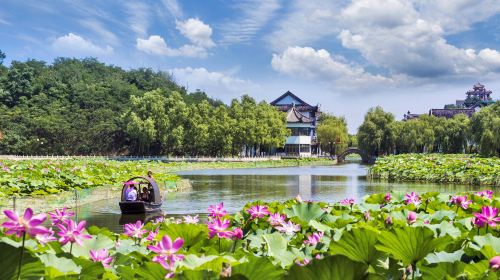 OCT Binhai International Tourism Resort