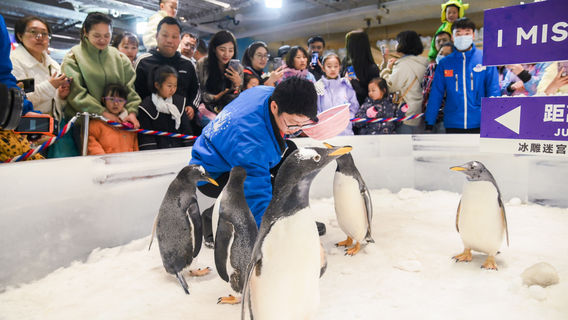 鄭州日遊