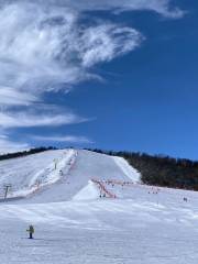 妙木山滑雪場