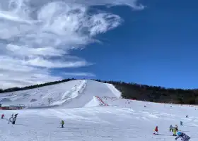 妙木山滑雪場