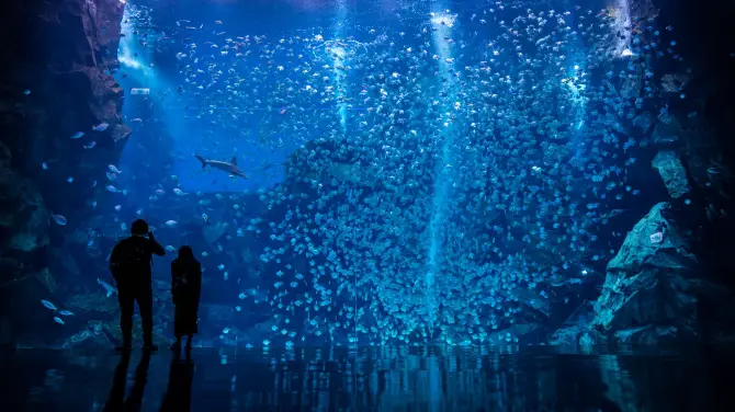 4_Xpark 水族館